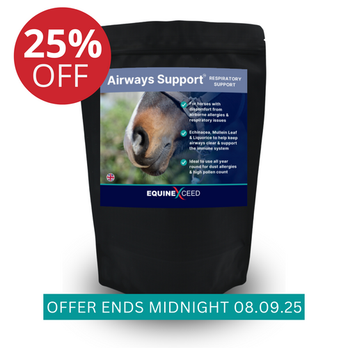 Airways Support™