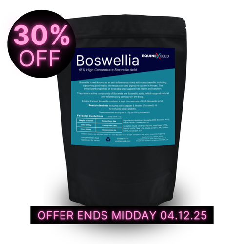 Boswellia 65% High Concentrate