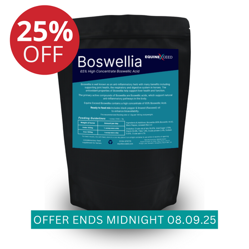 Boswellia 65% High Concentrate