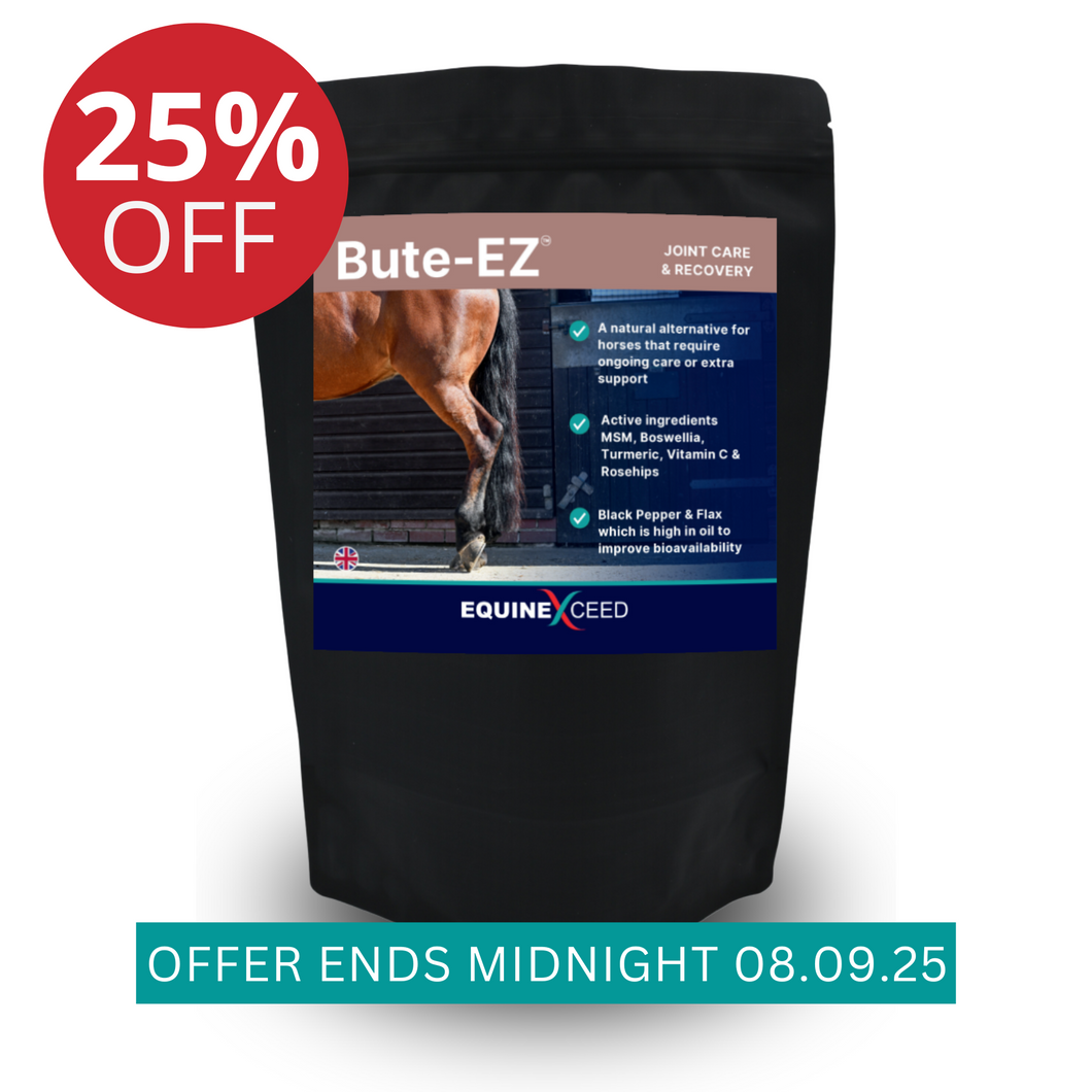 Bute-EZ™