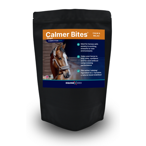 Calmer Bites™ - Ginger