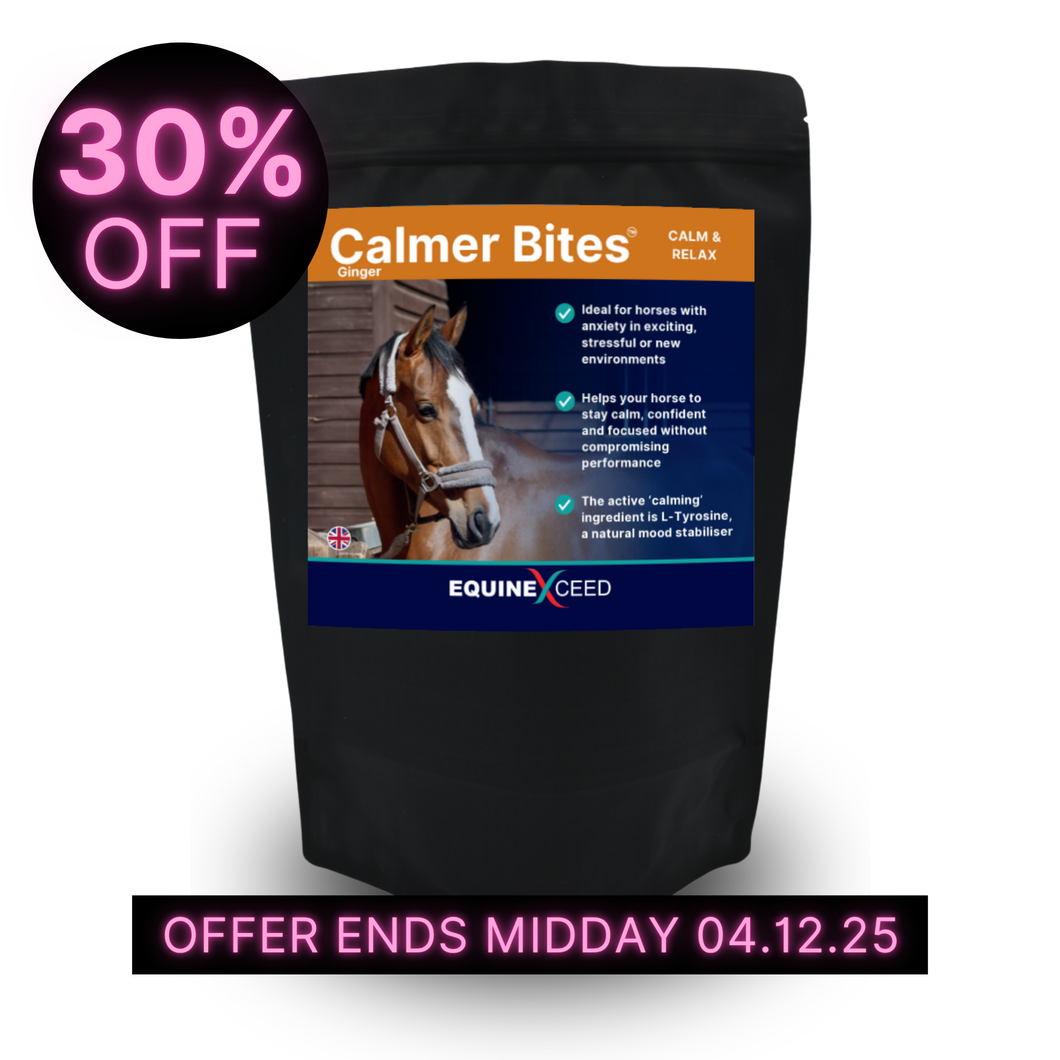 Calmer Bites™ - Ginger