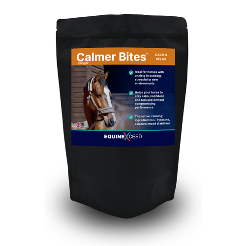 Calmer Bites™ - Ginger