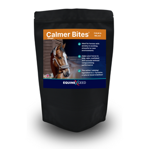 Calmer Bites™ - Ginger