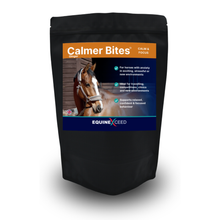 Load image into Gallery viewer, Calmer Bites™ - Ginger