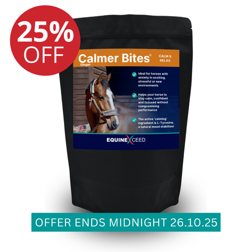 Calmer Bites™ - Ginger