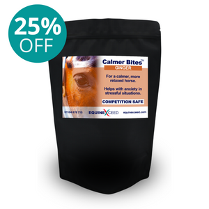 Calmer Bites™ - Ginger - SALE