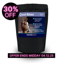 Load image into Gallery viewer, Cool Bites™ Mint