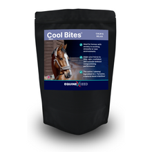 Load image into Gallery viewer, Cool Bites™ Mint