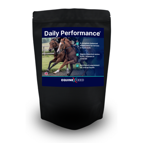 Daily Performance™