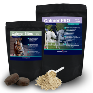 Economy Calming Bundle - 4