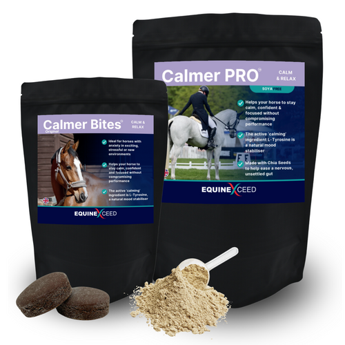 Economy Calming Bundle - 1