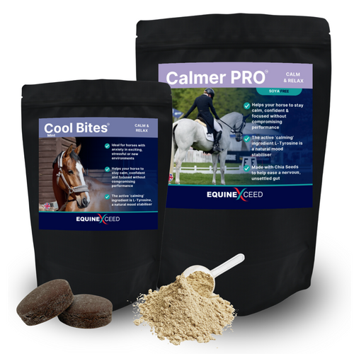 Economy Calming Bundle - 2