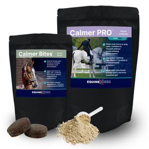 Economy Calming Bundle - 4