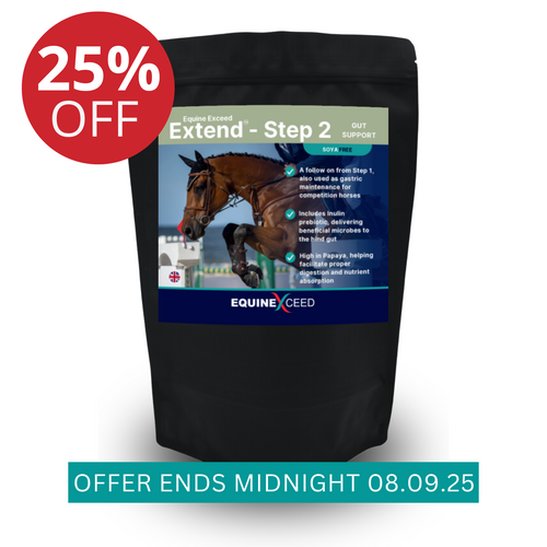 Gastro Extend™ - Step 2