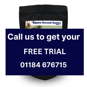 FREE TRIAL 5 DAY TRIAL Equine Exceed Gastro™ - Step 1