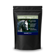 Load image into Gallery viewer, Gastro™ - Step 1 *FREE 5 DAY TRIAL*