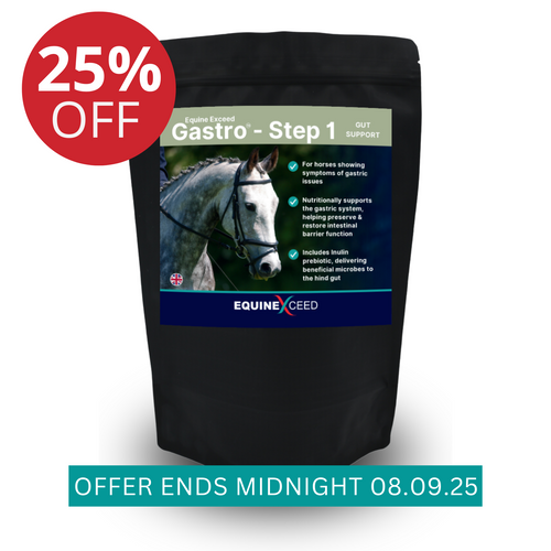 Gastro™ - Step 1