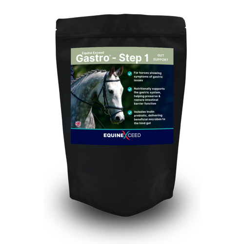 Gastro™ - Step 1