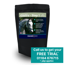 Load image into Gallery viewer, Gastro™ - Step 1