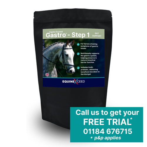 Gastro™ - Step 1