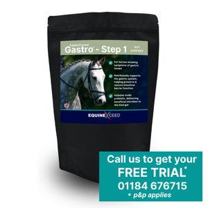 Gastro™ - Step 1