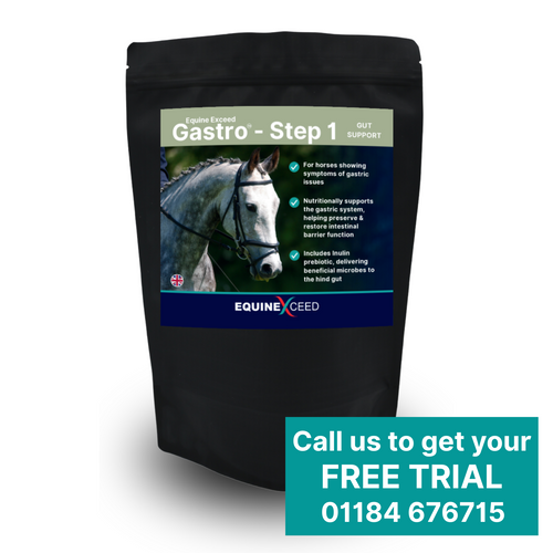 Gastro™ - Step 1