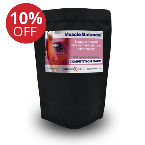 Muscle Balance™ SALE