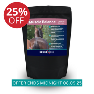 Muscle Balance™
