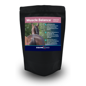 Muscle Balance™