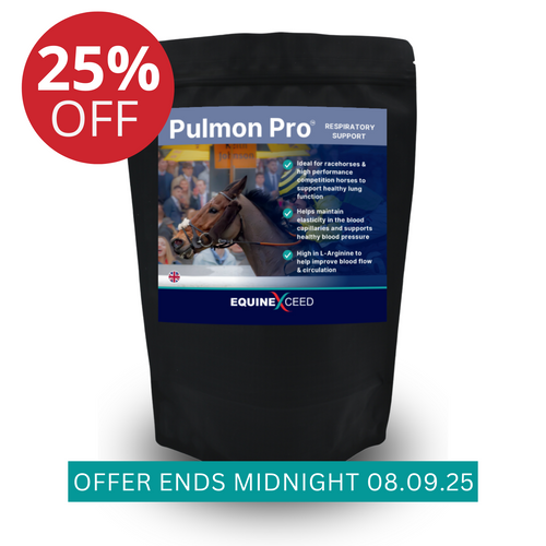 Pulmon PRO™
