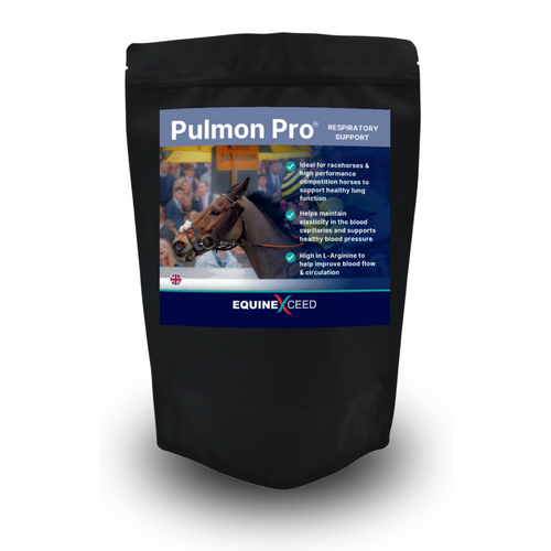 Pulmon PRO™