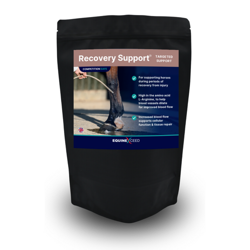 Recovery Support™