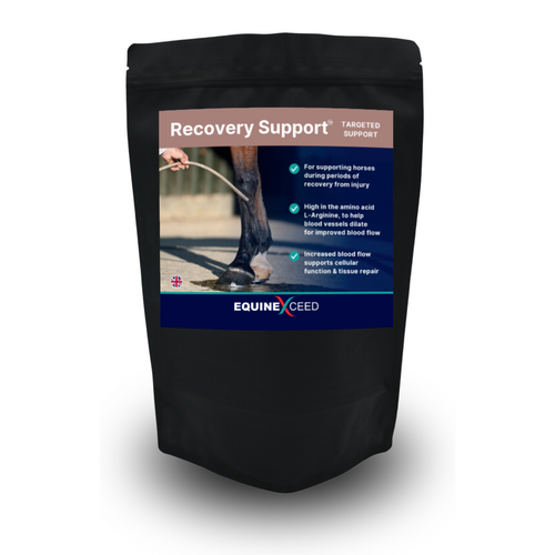 Recovery Support™