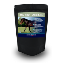 Load image into Gallery viewer, SFM PRO™ - Step 3