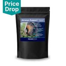 Load image into Gallery viewer, Airways Support™