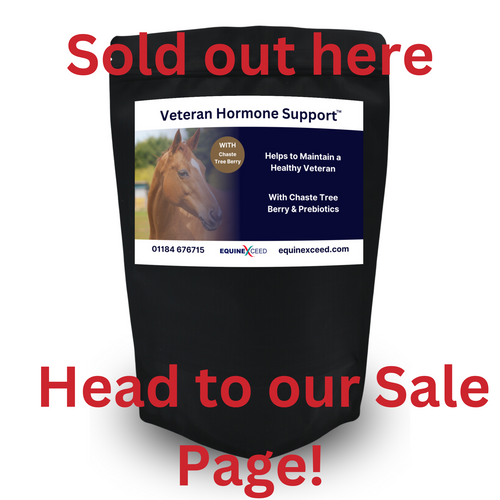 Veteran Hormone Support™ WITH Chaste Tree Berry & Prebiotic