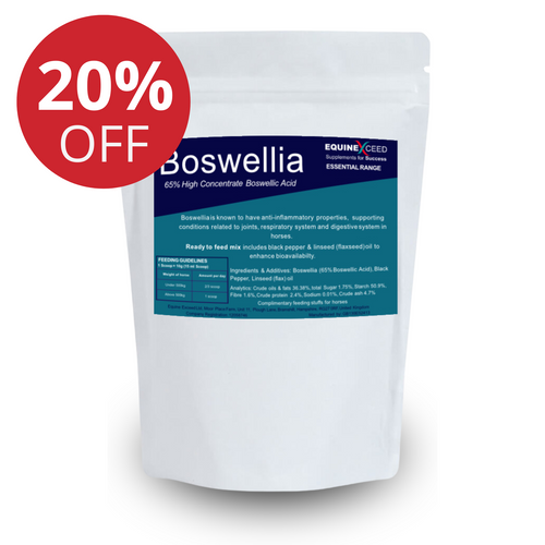 Boswellia 65% High Concentrate