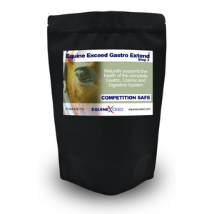 Equine Exceed Gastro Extend™ - Step 2