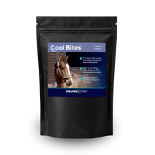 Load image into Gallery viewer, Cool Bites™ Mint