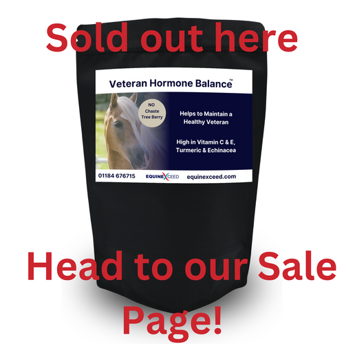 Veteran Hormone Balance™ NO Chaste Tree Berry