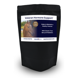 Veteran Hormone Support™ WITH Chaste Tree Berry & Prebiotic