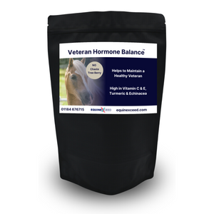 Veteran Hormone Balance™ NO Chaste Tree Berry