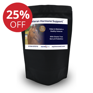 Veteran Hormone Support™ WITH Chaste Tree Berry & Prebiotic