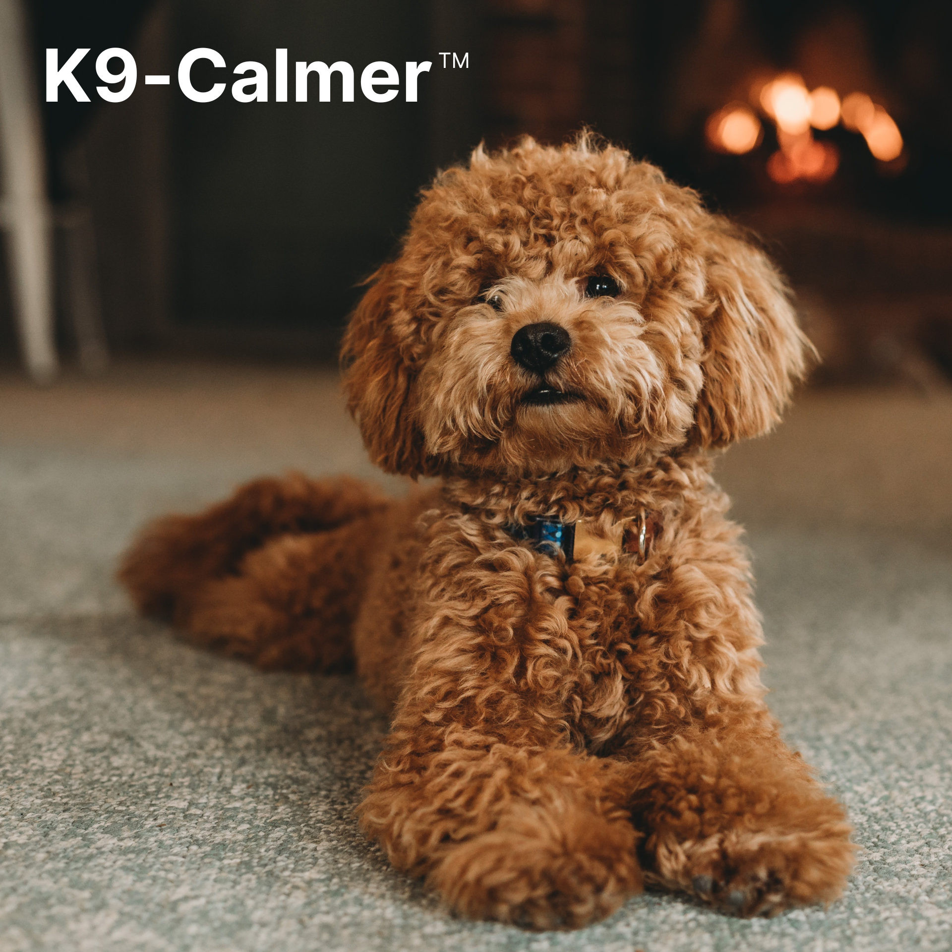 K9-Calmer™ – Equine Exceed Ltd
