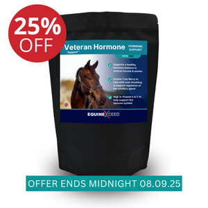 Veteran Hormone Support™