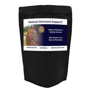 Veteran Hormone Support™ WITH Chaste Tree Berry & Prebiotic