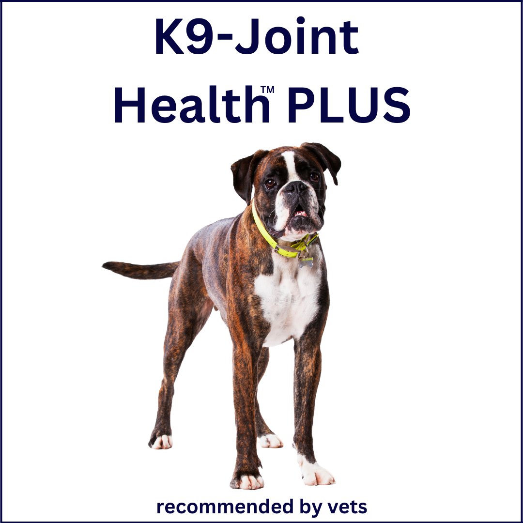 Joint health for clearance dogs